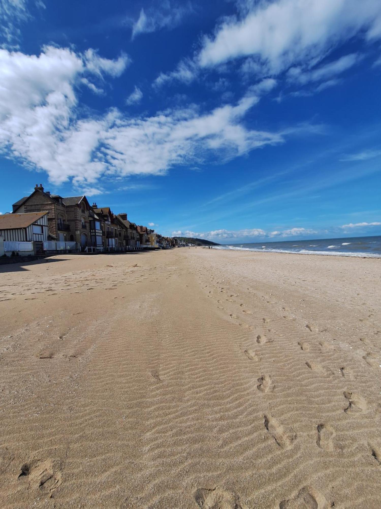 Super Deauville Appartement 2 Pieces Cosy Proche Plage Plein Sud 滨海维莱 外观 照片