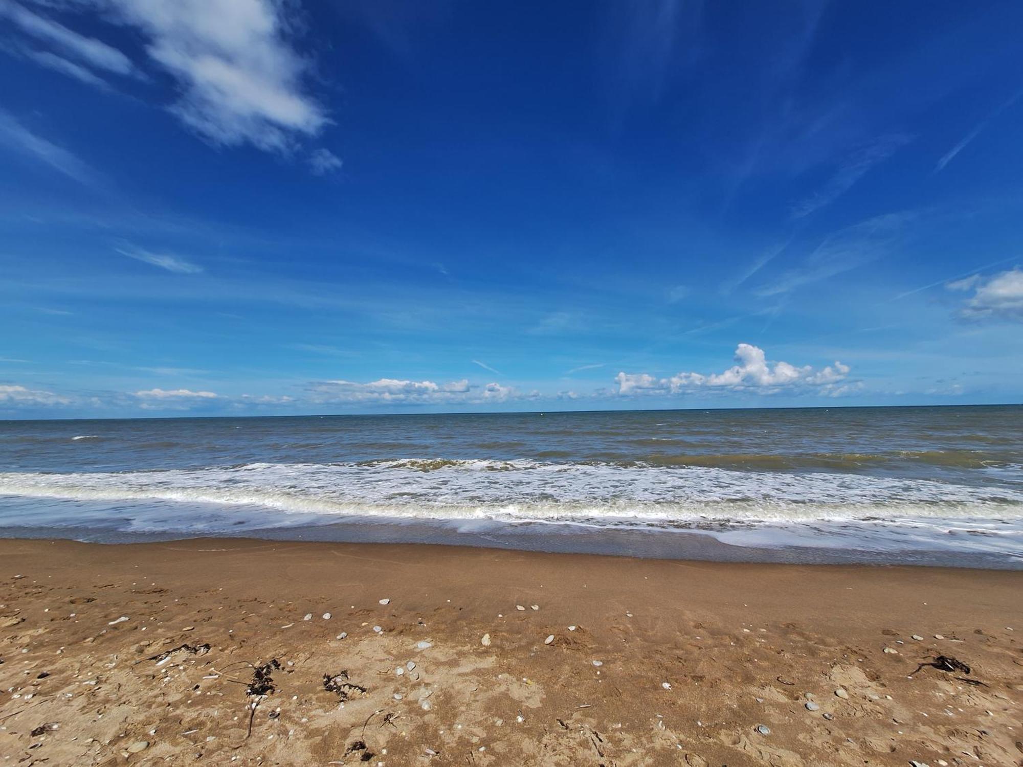 Super Deauville Appartement 2 Pieces Cosy Proche Plage Plein Sud 滨海维莱 外观 照片